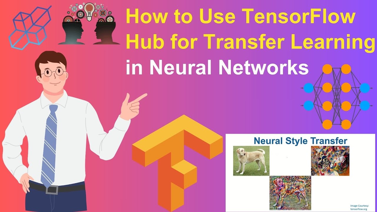 How to Use TensorFlow Hub for Transfer Learning in Neural Networks ...