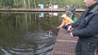 Переходной и лесистый в лидерах по поимкам. Спорт-зона. Клёвое место Лосиный остров.