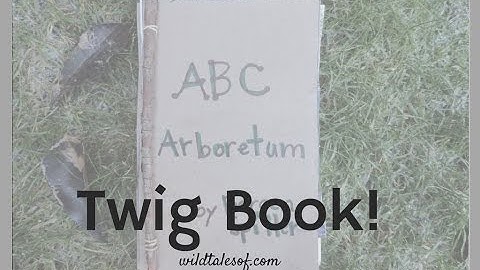 How to Make a Twig Book