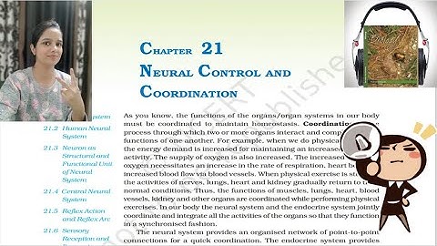 Neural Control and Coordination NCERT Audio Book | NCERT Class11 Biology Audiobook | NCERT Reading