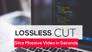 The fastest way to cut a piece of video or audio from large files.