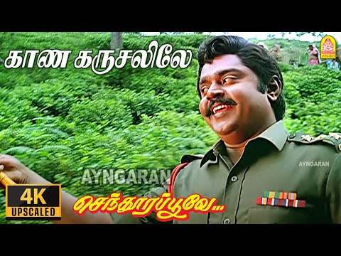 Kaana Karusalile - 4K Video Song | காண கரிசலிலே | Vijayakanth | Ramki | Nirosha | Manoj–Gyan