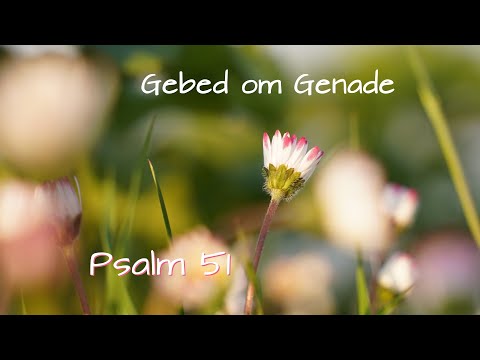 Gebed om Genade - Psalm 51 - Orgel Woudrichem