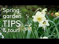 The best thing to do for your garden nowspring garden tips and tour