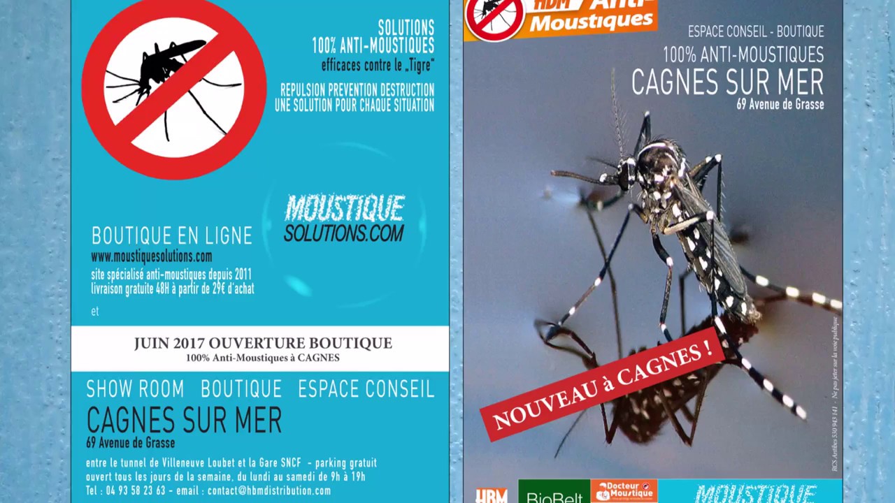 La mairie de Vence prend un arrêté anti-moustique - France Bleu
