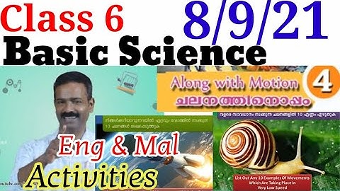 Class 6 Basic Science Worksheet 8/9/21|STD 6 Basic Science Worksheet 8/9/21|Activities|@educutz131