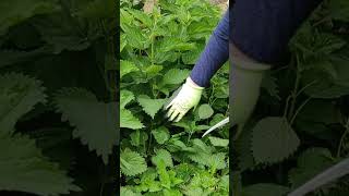 Kıma Abone Olursanız Sevinirim