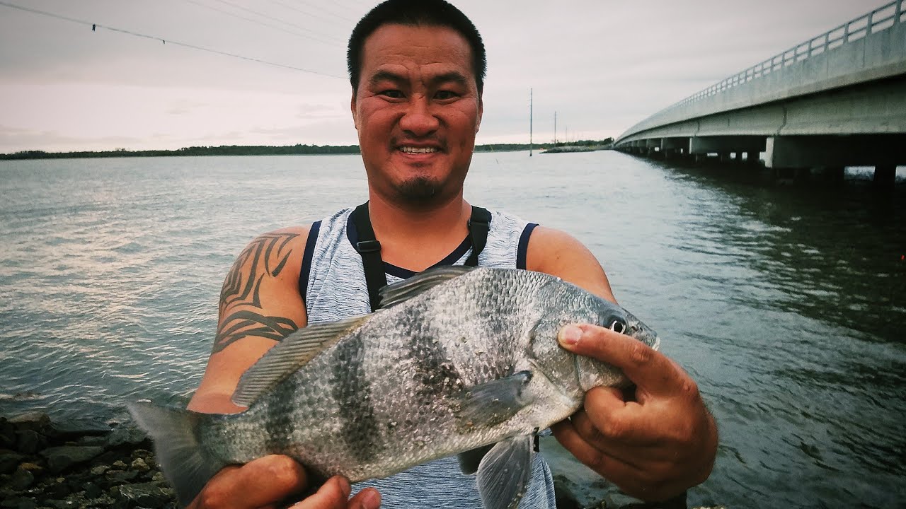 Black Drum fishing NC coast YouTube