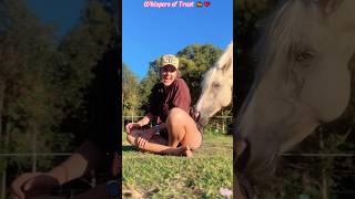 Some Bonds Need No Language🐎❤️#Horse#Friendship#Animals#Wholesome#Love#Respect