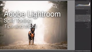 Adobe Lightroom - Split Toning | Wex Tips and Tricks