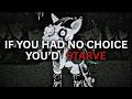 Virus Z is the most Disturbing MLP Infection AU