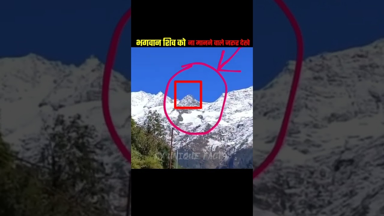 Prithvi Shaw With Girlfriendshorts Prithvishaw - YouTube Auto PHP Script