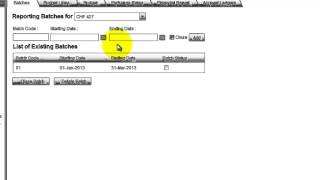 Definition of Reporting Batches for the Project