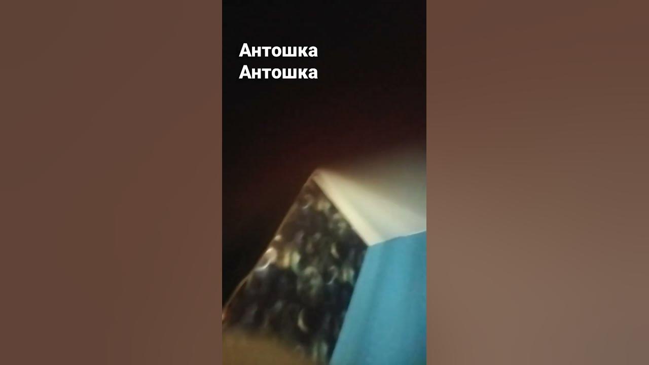 антошка Антошка - YouTube