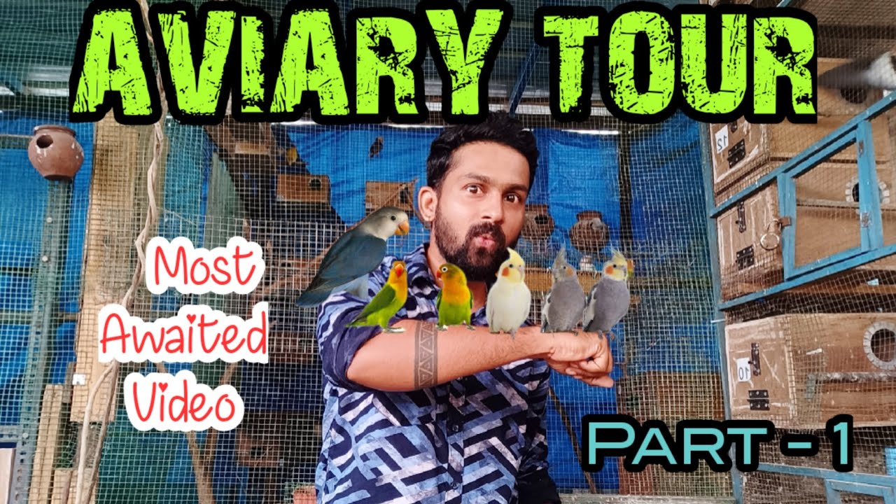 Aviary Tour in Tamil | Birds Aviary In Chennai | Karthick's Aviary ...