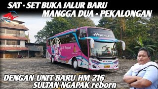 Will PO Haryanto soon open the Mangga Dua - Pekalongan route?