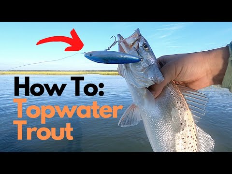 How To Catch Speckled Trout On Topwater - Rapala Skitter Walk