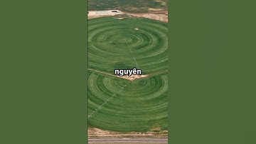 🎯 LẬP TRÌNH REAL-TIME CÓ GÌ HAY? 5 LÝ DO KHIẾN KỸ SƯ NHÚNG KHÔNG THỂ BỎ QUA  #ai #robot #IOT