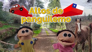 Altos de panguilemo Región del Maule, (19 Julio 2025)