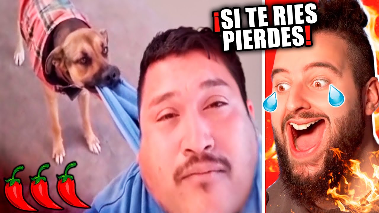 Если ты смеешься, ты теряешь острое наказание!! 🌶️