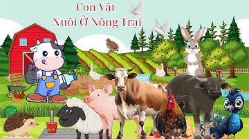 CON GÌ ĐÂY?DẠY BÉ TÊN CÁC CON VẬT NUÔI TRONG NÔNG TRẠI.CON BÒ,CON GÀ TRỐNG,CON TRÂU,CON CHÓ...