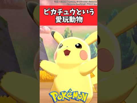 ピカチュウという愛玩動物【ポケモン反応集】#ポケモン #ピカチュウ