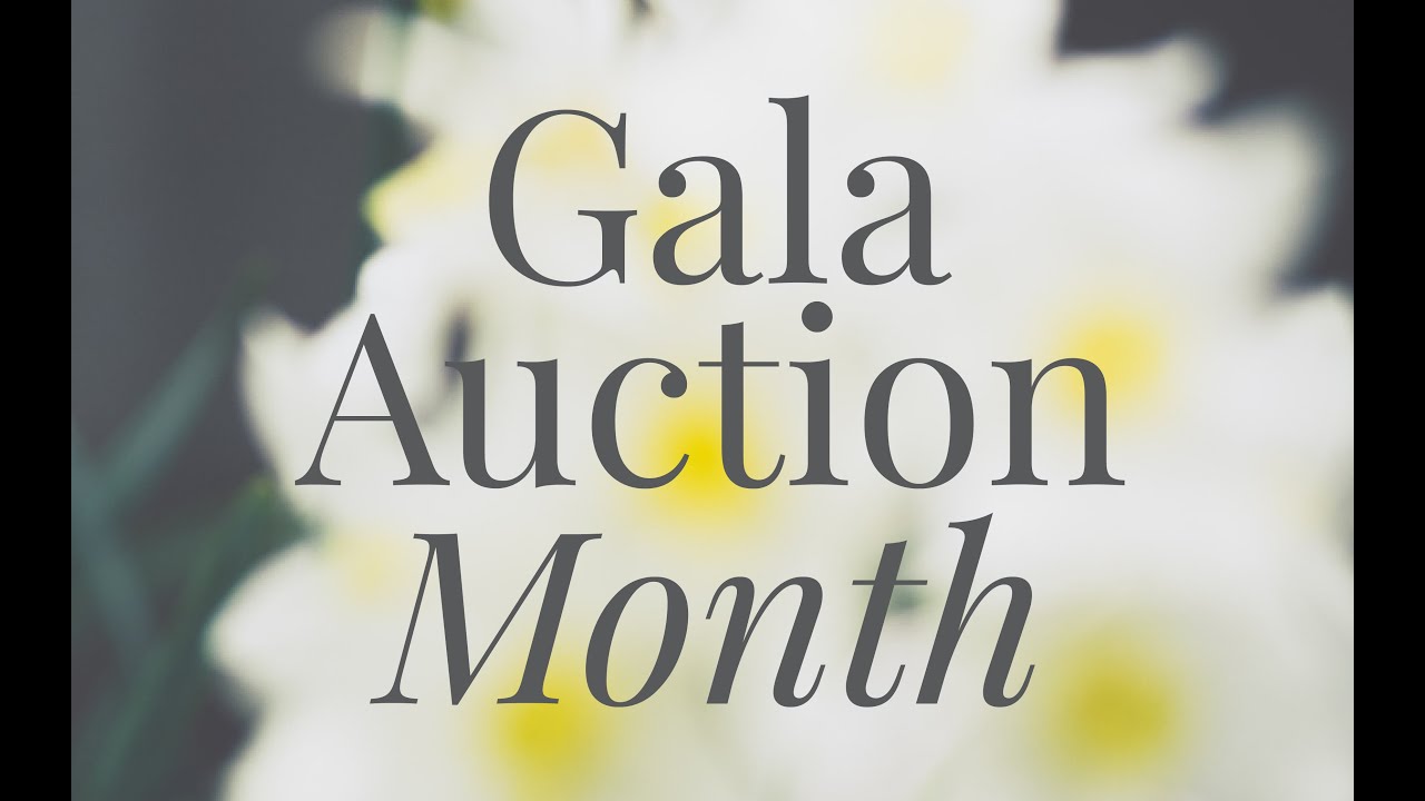 Gala Auction Video