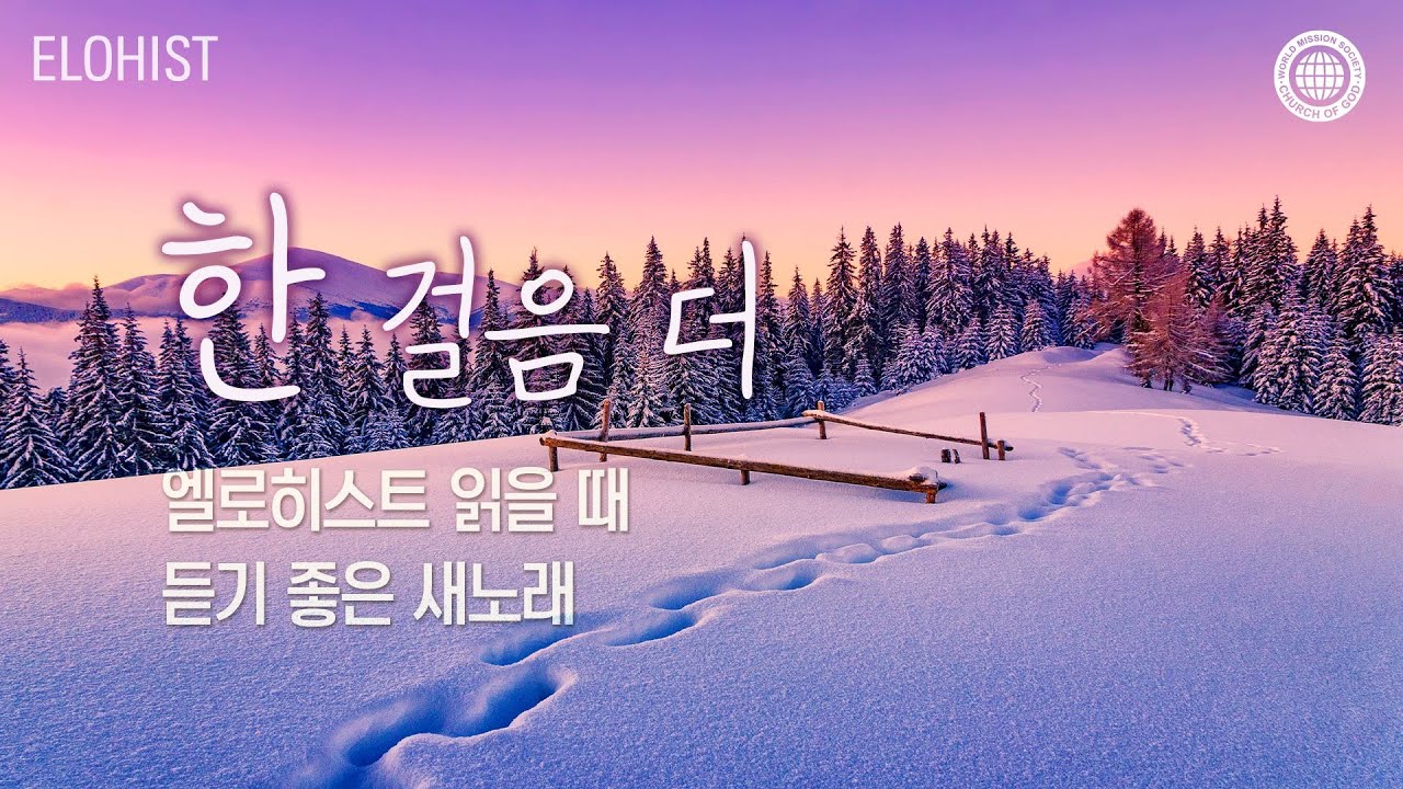 엘로히스트 읽을 때 듣기 좋은 새노래 #1│2025