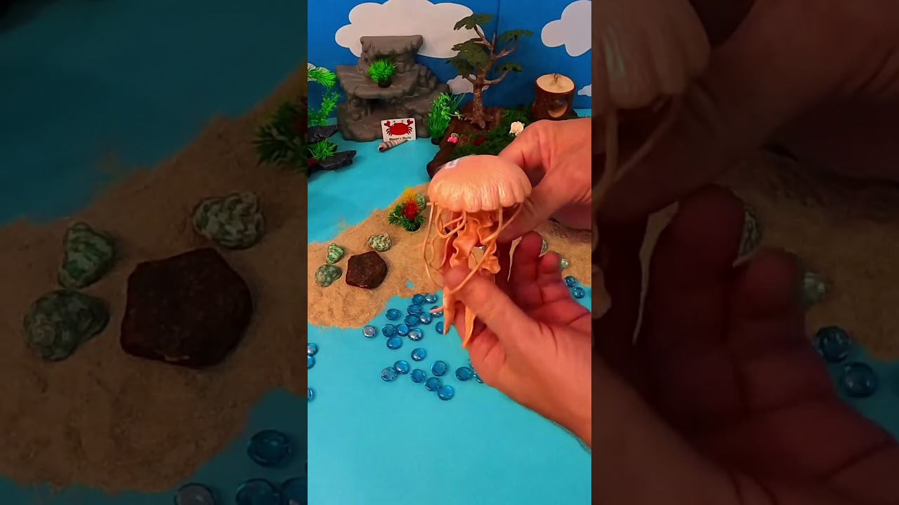 Jellyfish Fun! No Brain, No Heart, No Problem