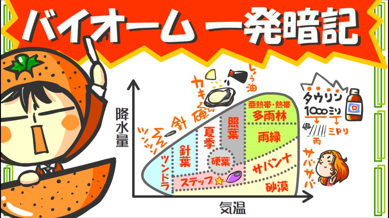 【共テ対策】生物基礎「バイオーム一発暗記」