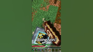 Baby Dodos! | Fossils and Archaeology Creator Server