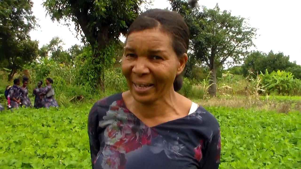 Bean Business Driving Economic Growth in Tanzania: A case of Zinduka Women Group