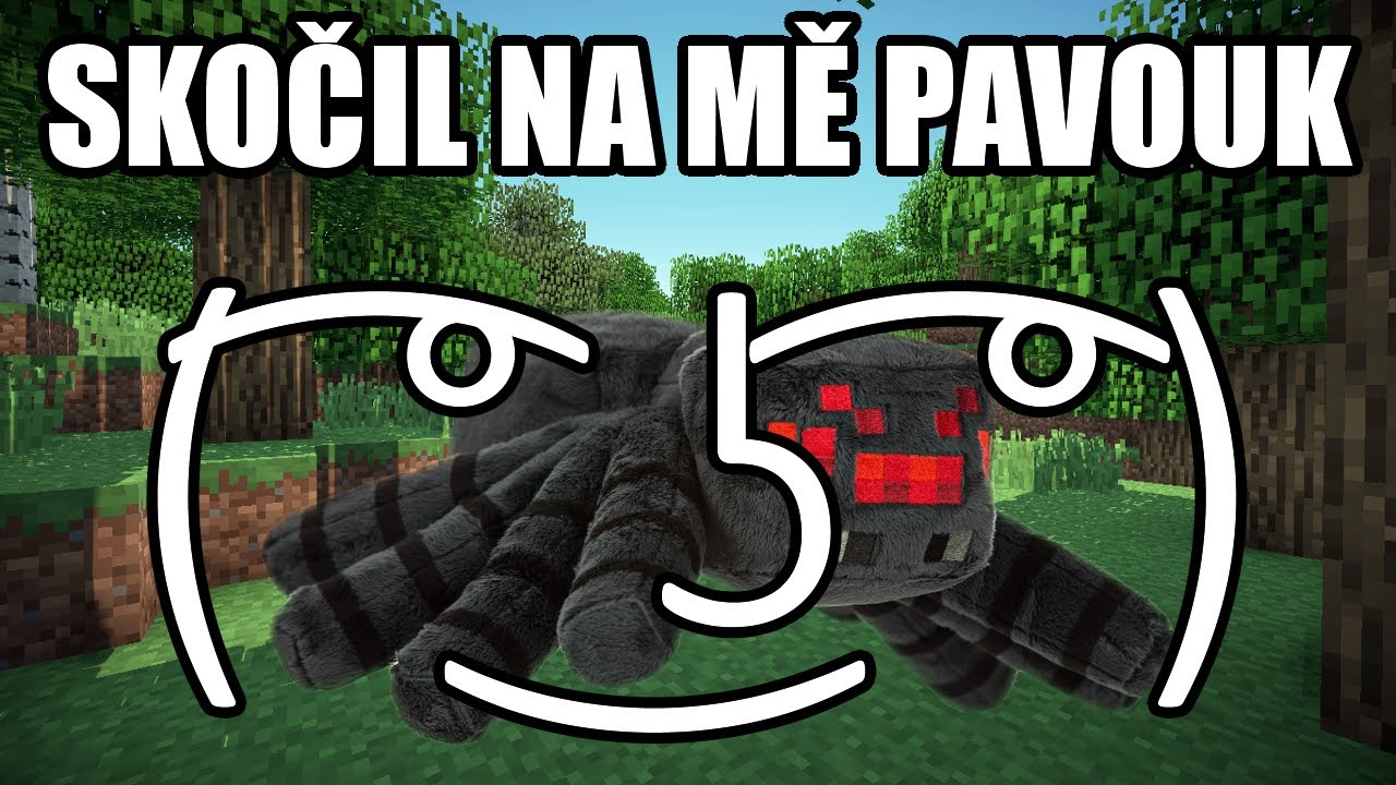 ( ͡° ͜ʖ ͡°) Uprostřed noci na mě skočil pavouk - Příběh