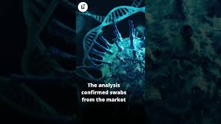 China publishes COVID-origins data