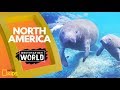 North america  destination world