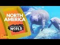 North America's Diverse Ecosystems and Natural Wonders