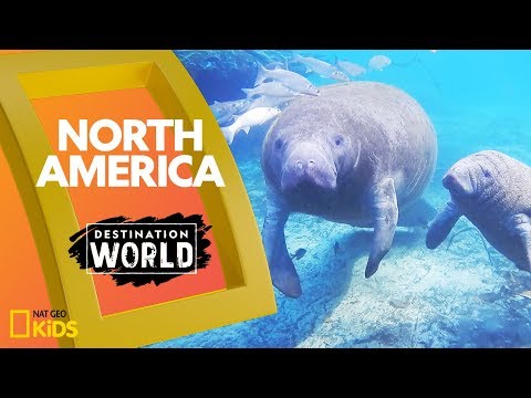 উত্তর আমেরিকা | গন্তব্য বিশ্ব