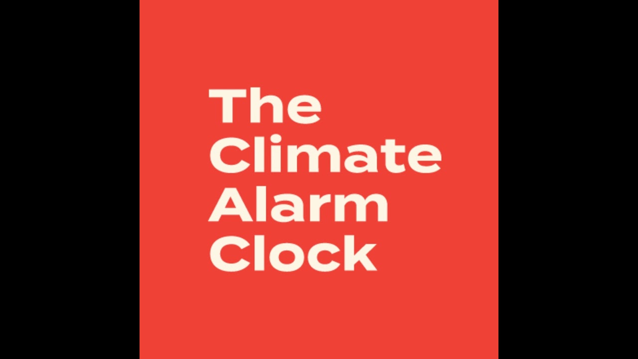 Friday 19th November