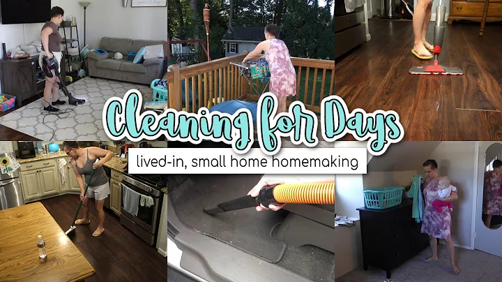 Lived-in, Small Home Cleaning & Homemaking Motivat...
