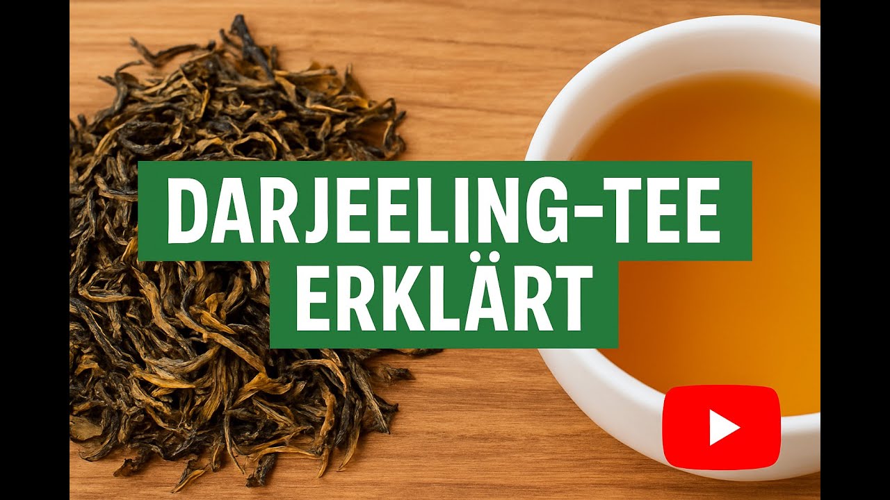 Darjeeling-Tee – der „Champagner unter den Tees“ | Teewissen kompakt