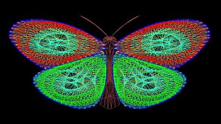 Butterfly Morph