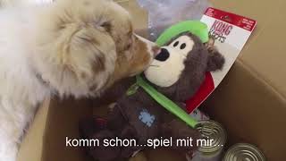 Hundepool und Hundespielzeug Unboxing mit Miley 🐶💕 by Miley Der Shepherd 259 views 4 years ago 2 minutes, 51 seconds