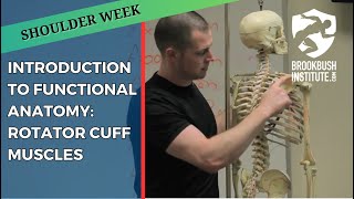 Introduction to Functional Anatomy: Rotator Cuff Muscles