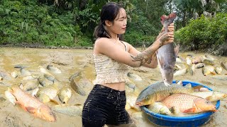 Process Harvesting Fish in Farm - Grilled Fish - Cooking - Puppy | My Free Life