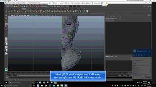 Maya: Component editor không hiện vertex position