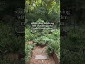 Gardening can be your peace, your escape, even your therapy😌 #garden #mentalhealth #gardener