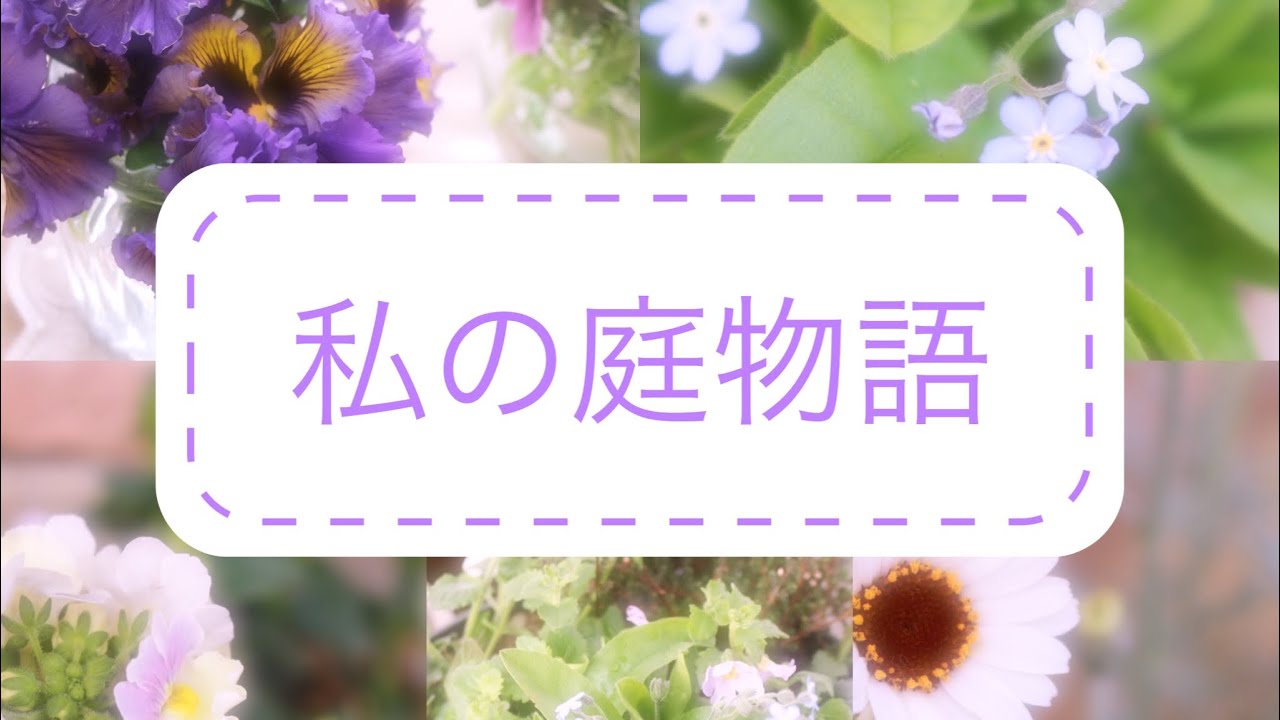 ガーデニング 忙しい3月の庭仕事 花の手入れ 葉牡丹の寄せ植えの作り直し 部屋の中の花畑 Youtube ガーデニング 忙しい3月の庭仕事 花の手入れ 葉牡丹の寄せ植えの作り直し 部屋の中の花畑 Youtube