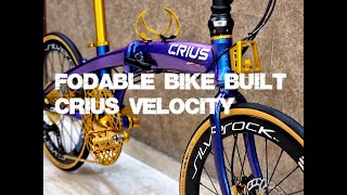 Foldies Singapore: Foldable Bicycle Built (CRIUS VELOCITY or others)