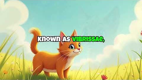 Whiskers in the Wind: Cats