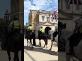 Graceful Police Horses on Patrol #horseguards